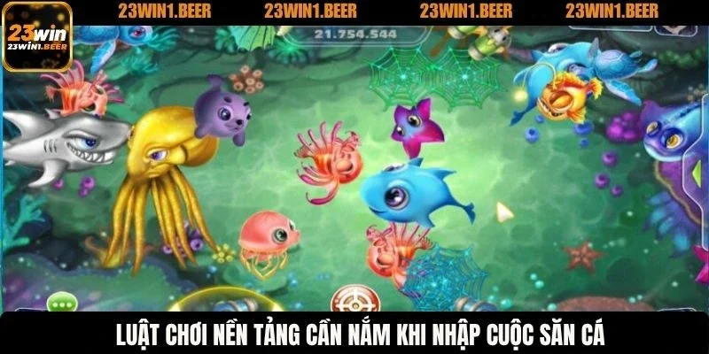 Luật chơi nền tảng cần nắm khi nhập cuộc săn cá